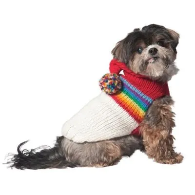 Vintage Ski Bum Hoodie Sweater